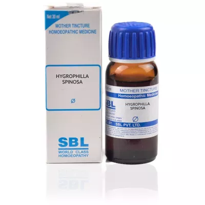 SBL Sambucus Nigra 1X (Q) (30ml)