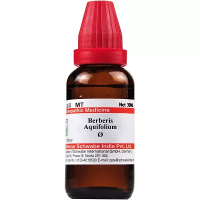 Willmar Schwabe India Blatta Orientalis 1X (Q) (30ml)